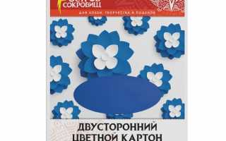 Красавица – жена премьер-министра РФ Светлана Медведева